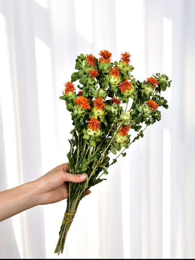 Dried safflower