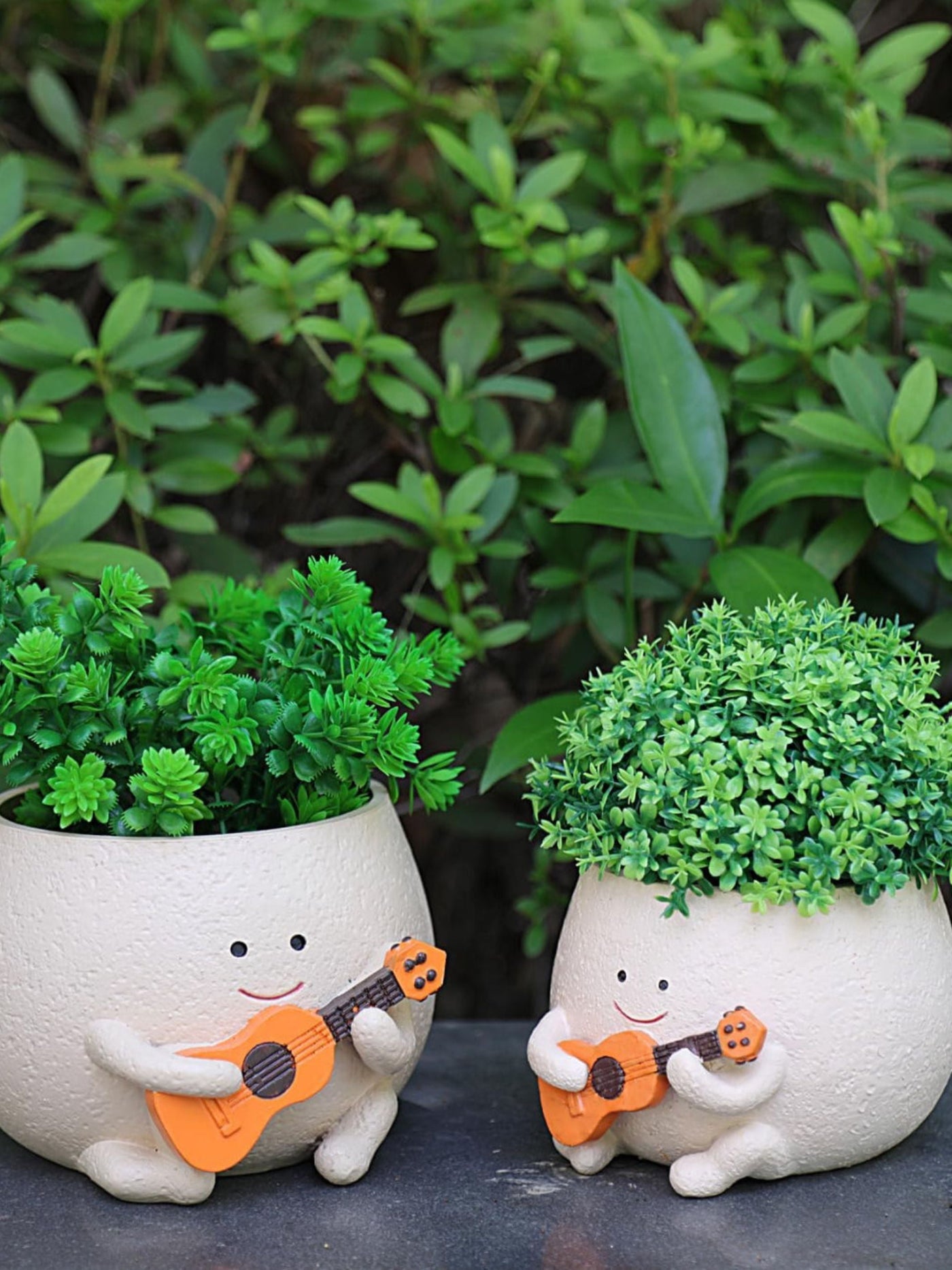 The Jazzy Planter