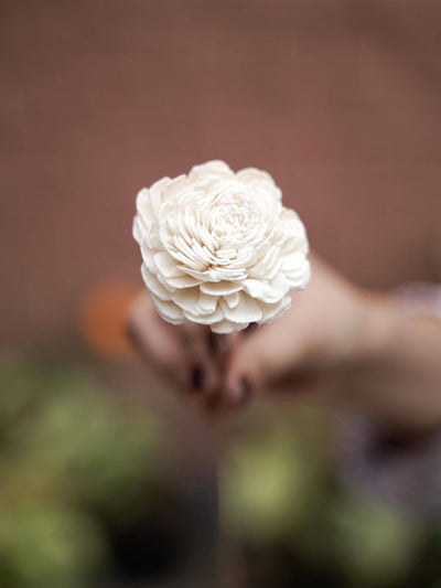 Sola Flower-Golden White