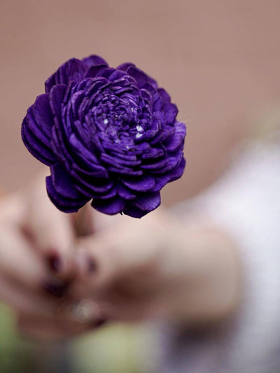 Sola Flower-Purple Combo