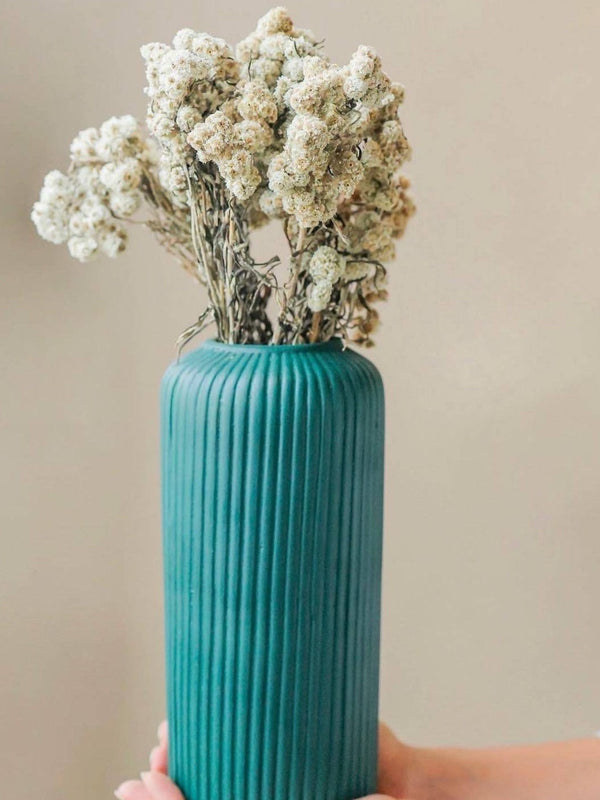 White daisies bunch