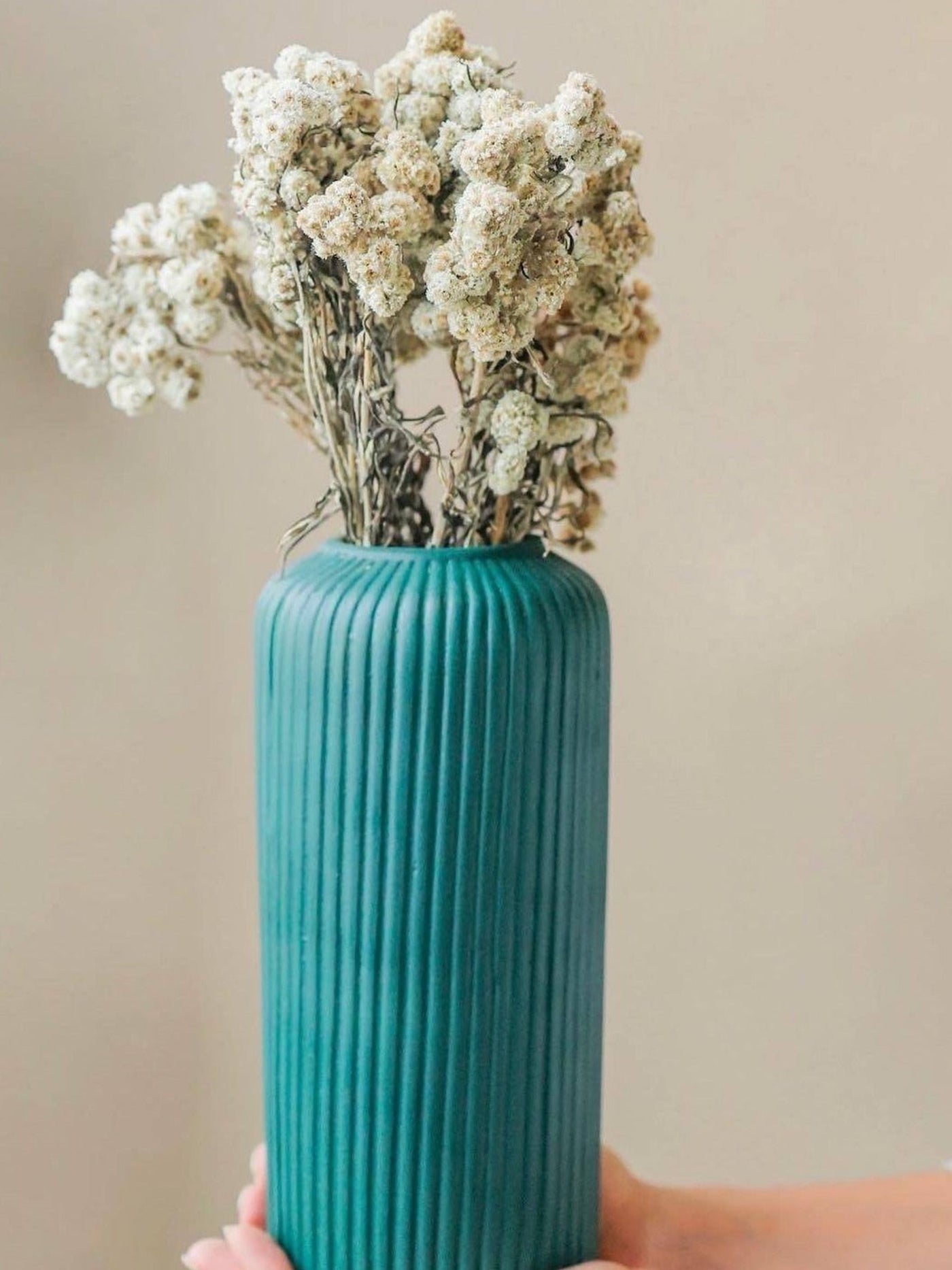 White daisies bunch
