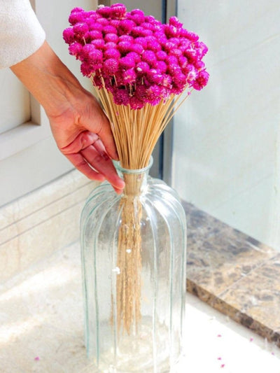 Gomphera with Crystal Glass vase