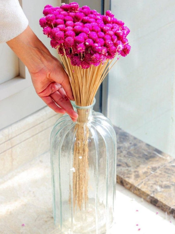 Gomphera with Crystal Glass vase