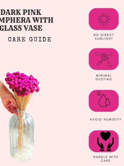 Gomphera with Crystal Glass vase