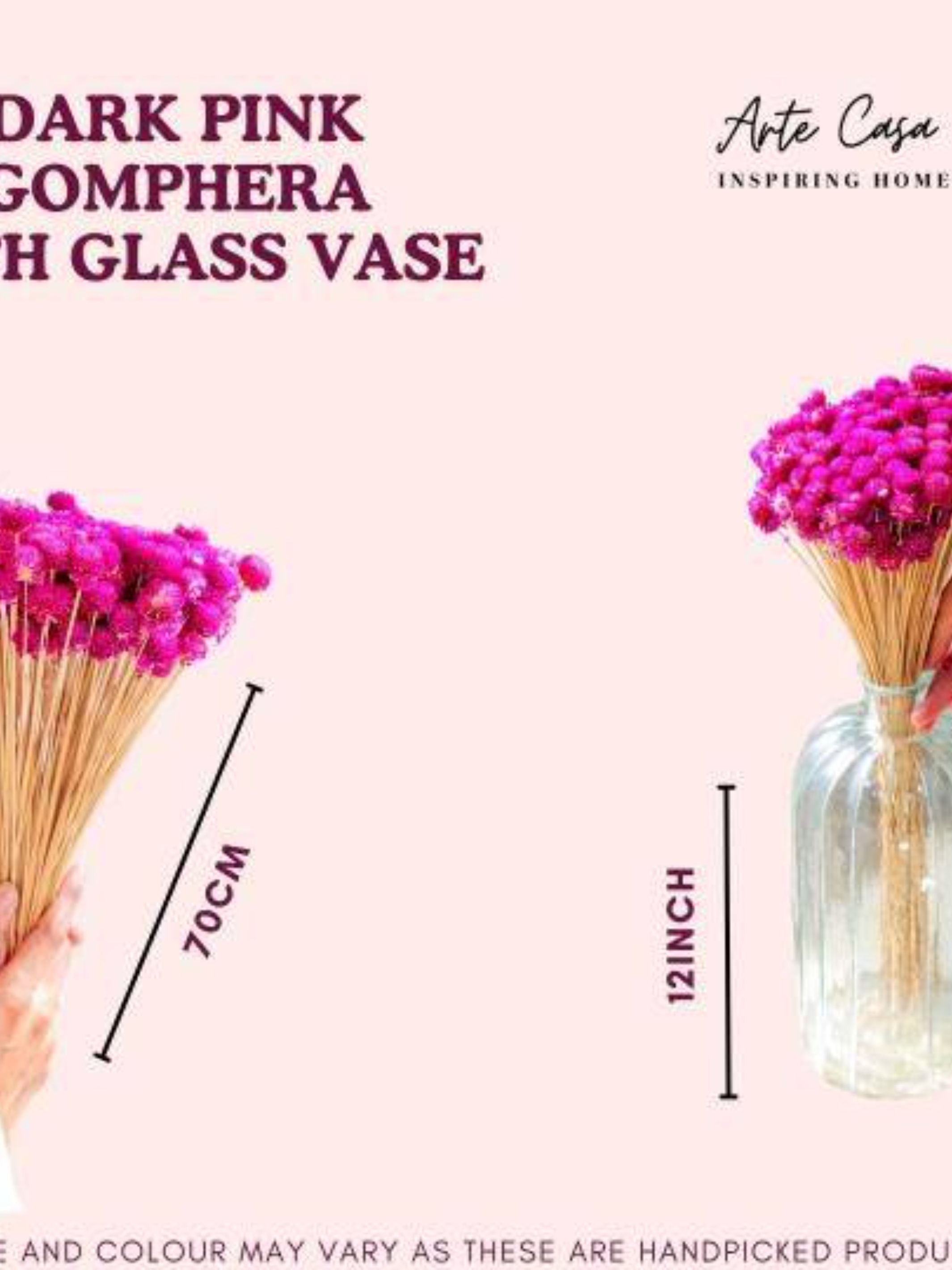 Gomphera with Crystal Glass vase