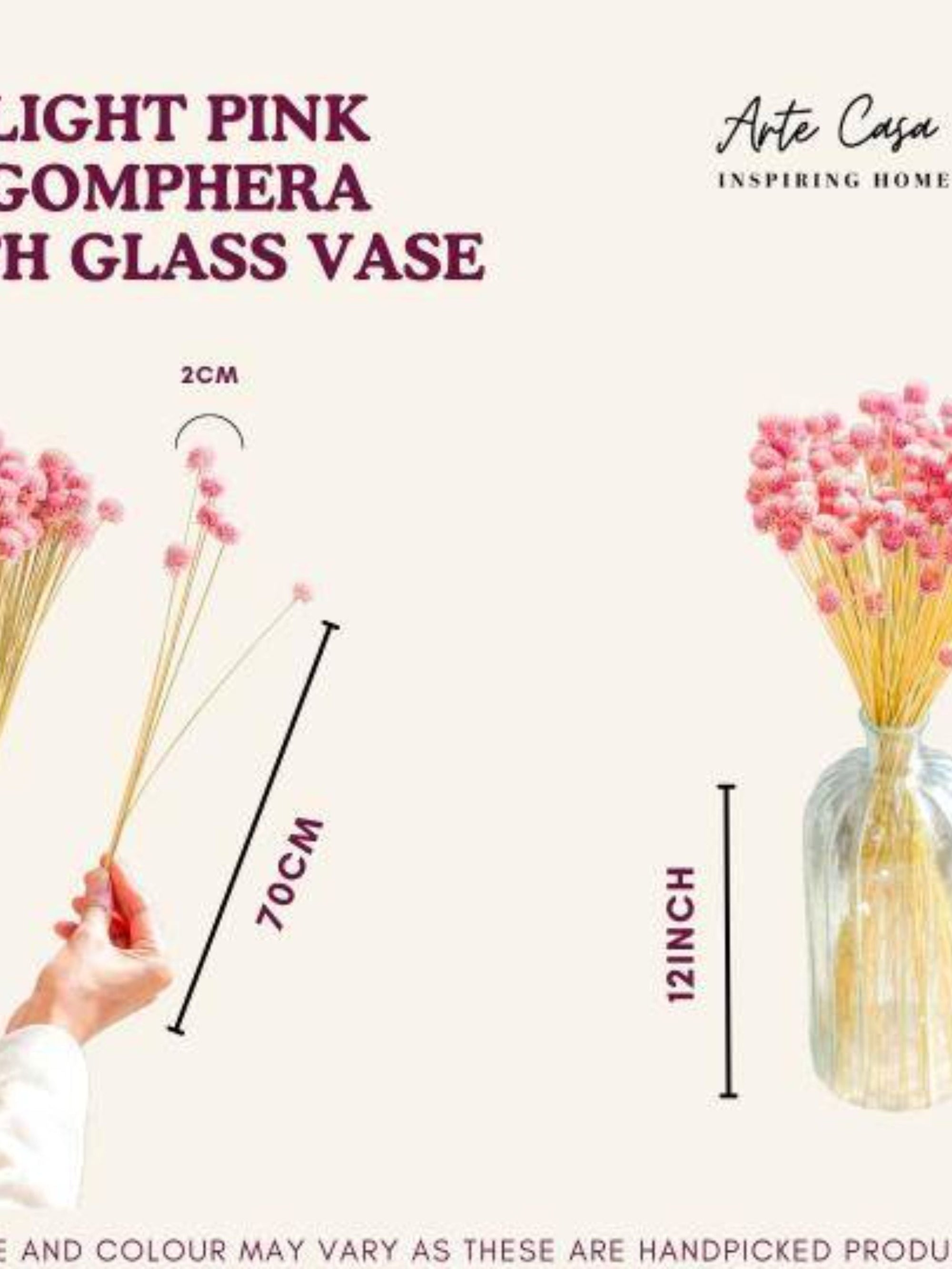 Gomphera with Crystal Glass vase-Light Pink
