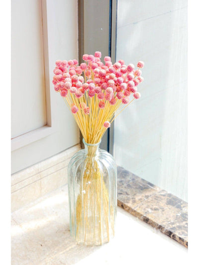 Gomphera set of 25 stems -Light pink