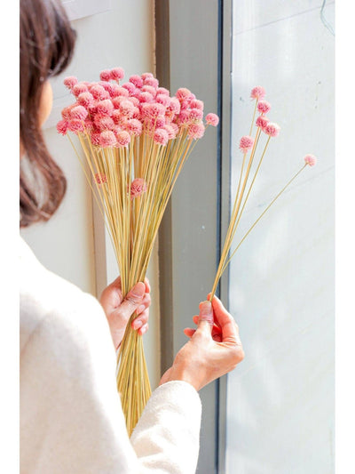 Gomphera set of 25 stems -Light pink