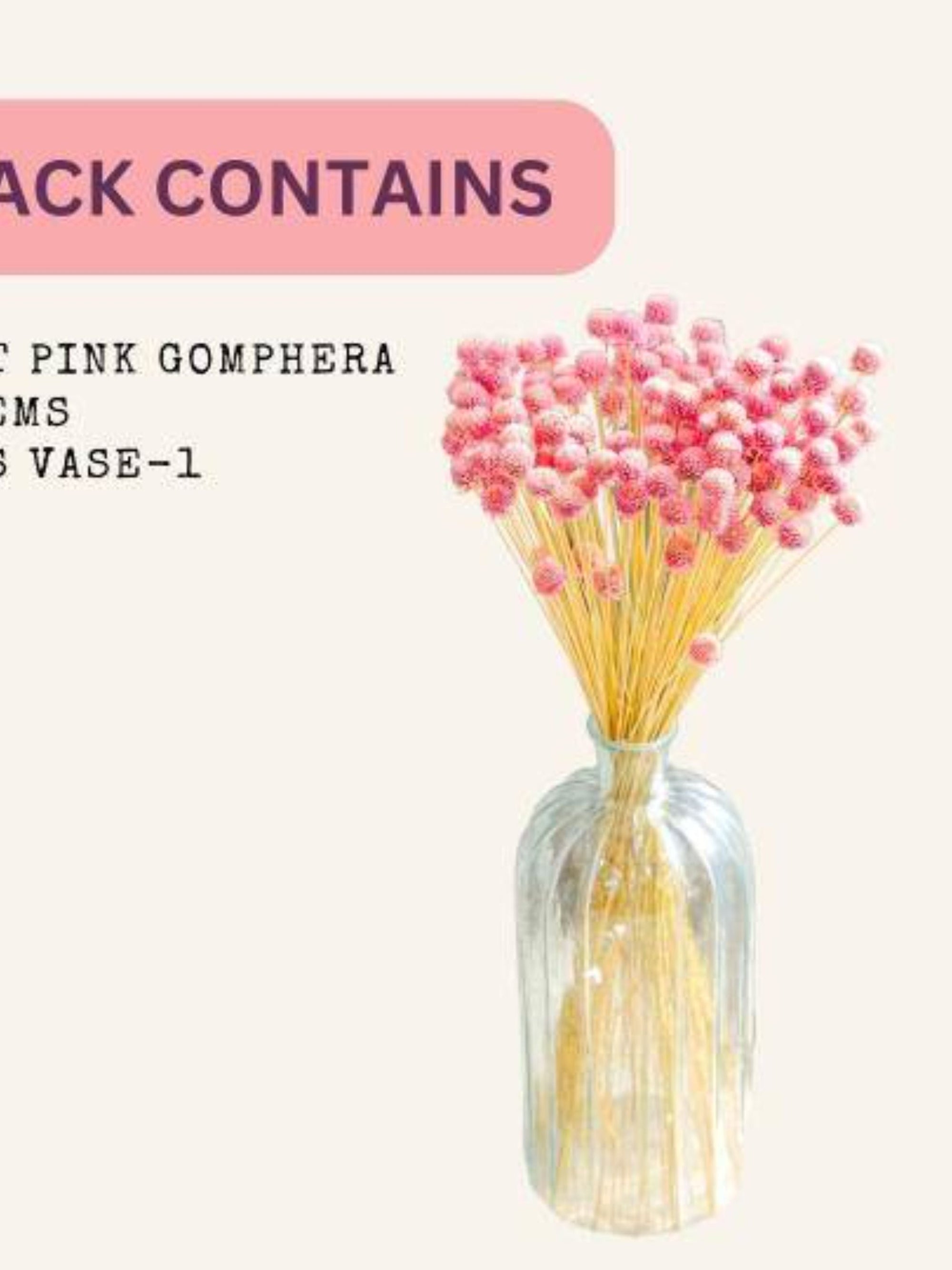 Gomphera with Crystal Glass vase-Light Pink