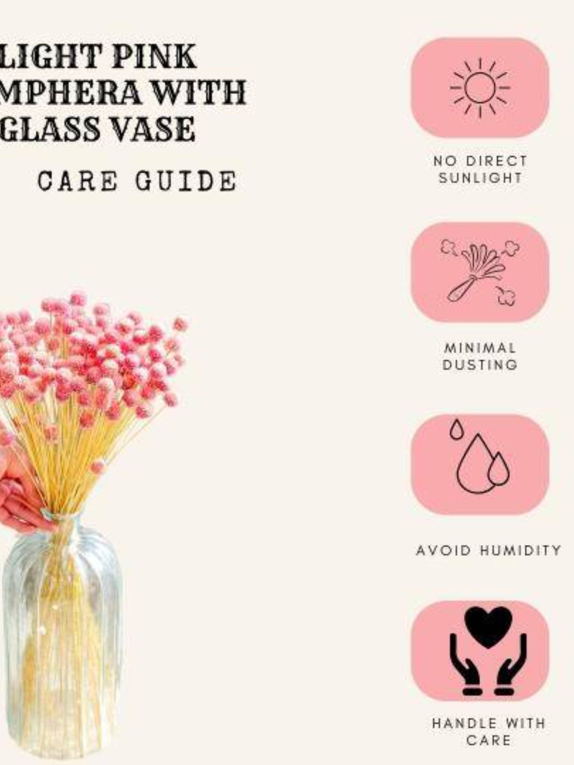 Gomphera with Crystal Glass vase-Light Pink