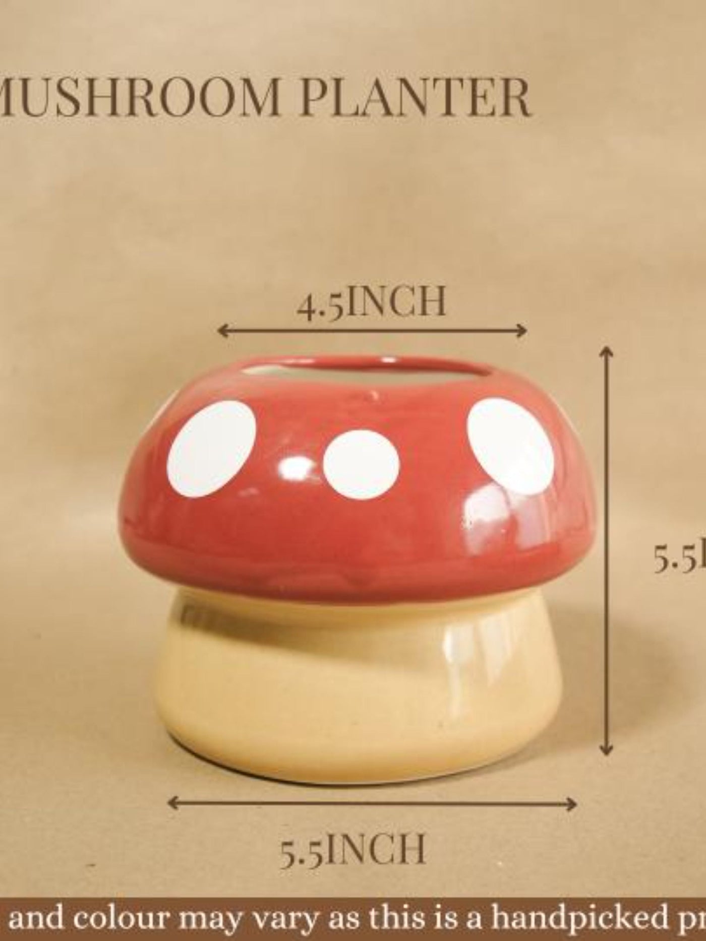 Mushroom Planter
