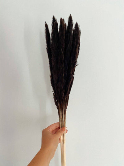 Mini white pampas-set of 10 sticks