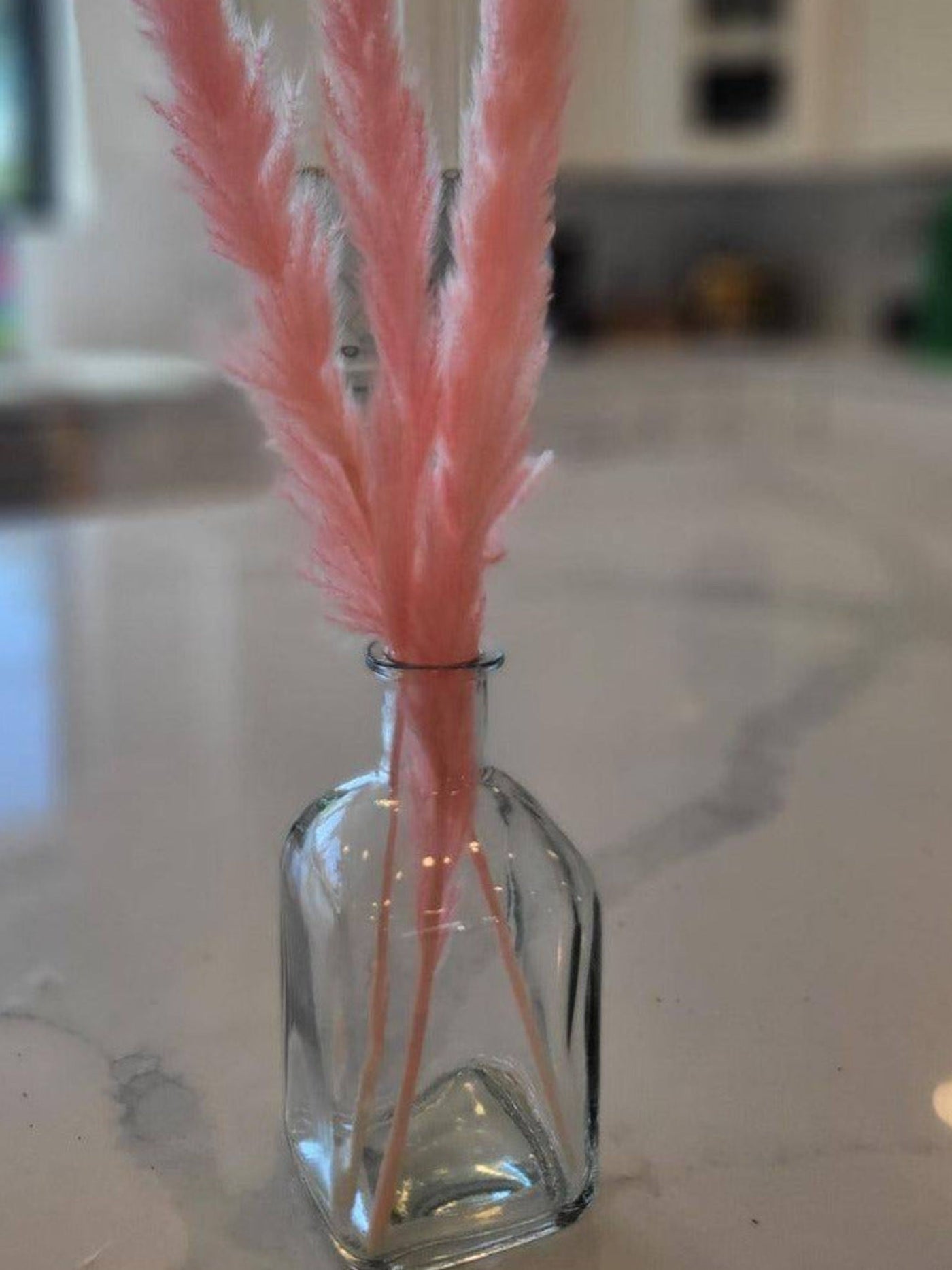Mini Pink pampas-set of 10 sticks