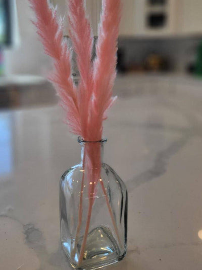 Mini Pink pampas-set of 10 sticks