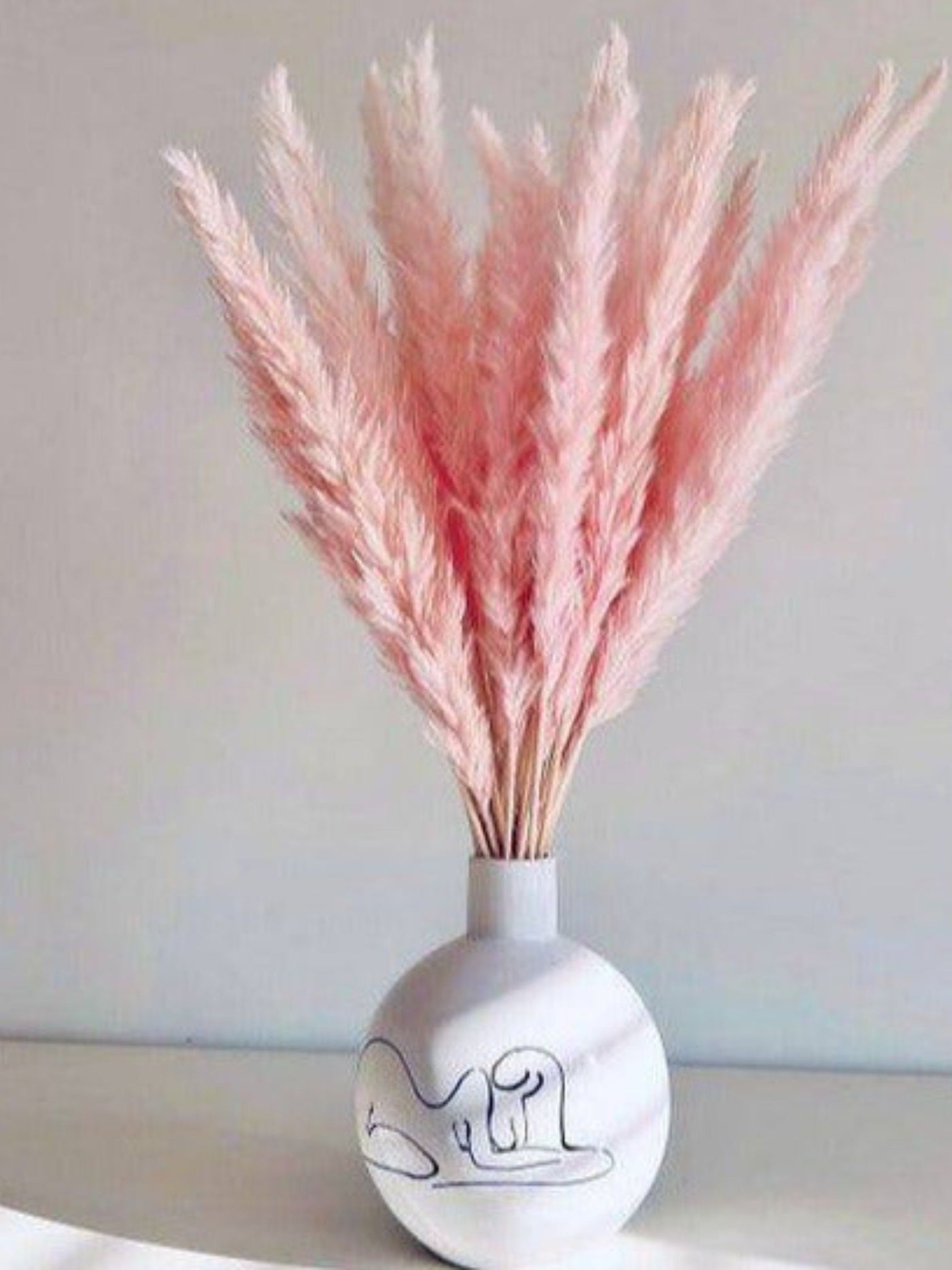 Mini Pink pampas-set of 10 sticks