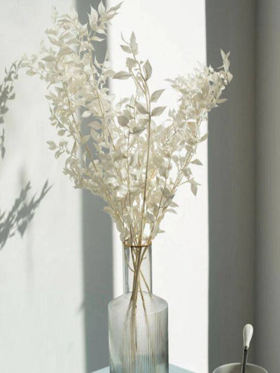 Ruscus