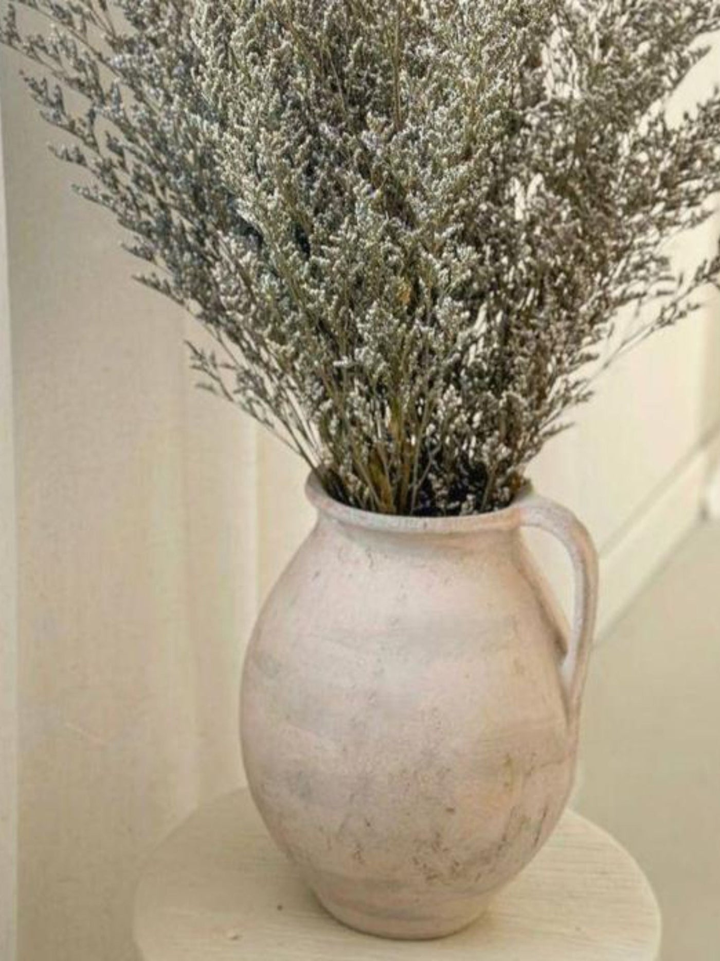 Limonium-natural