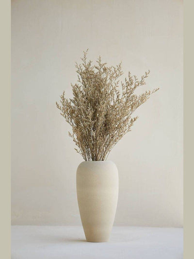 Limonium-natural