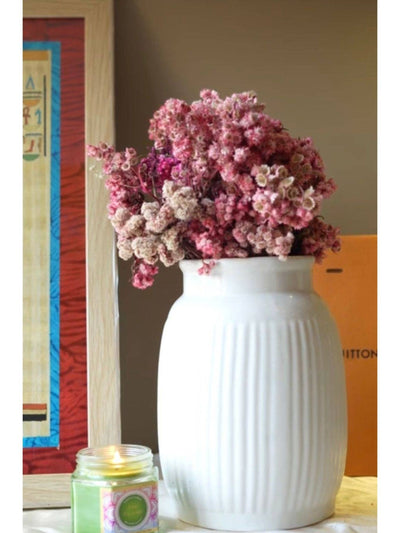 Light Pink daisies bunch