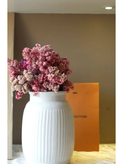 Light Pink daisies bunch