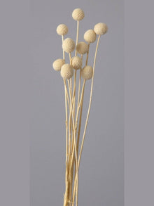 Billy ball-set of 10