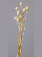 Billy ball-set of 10