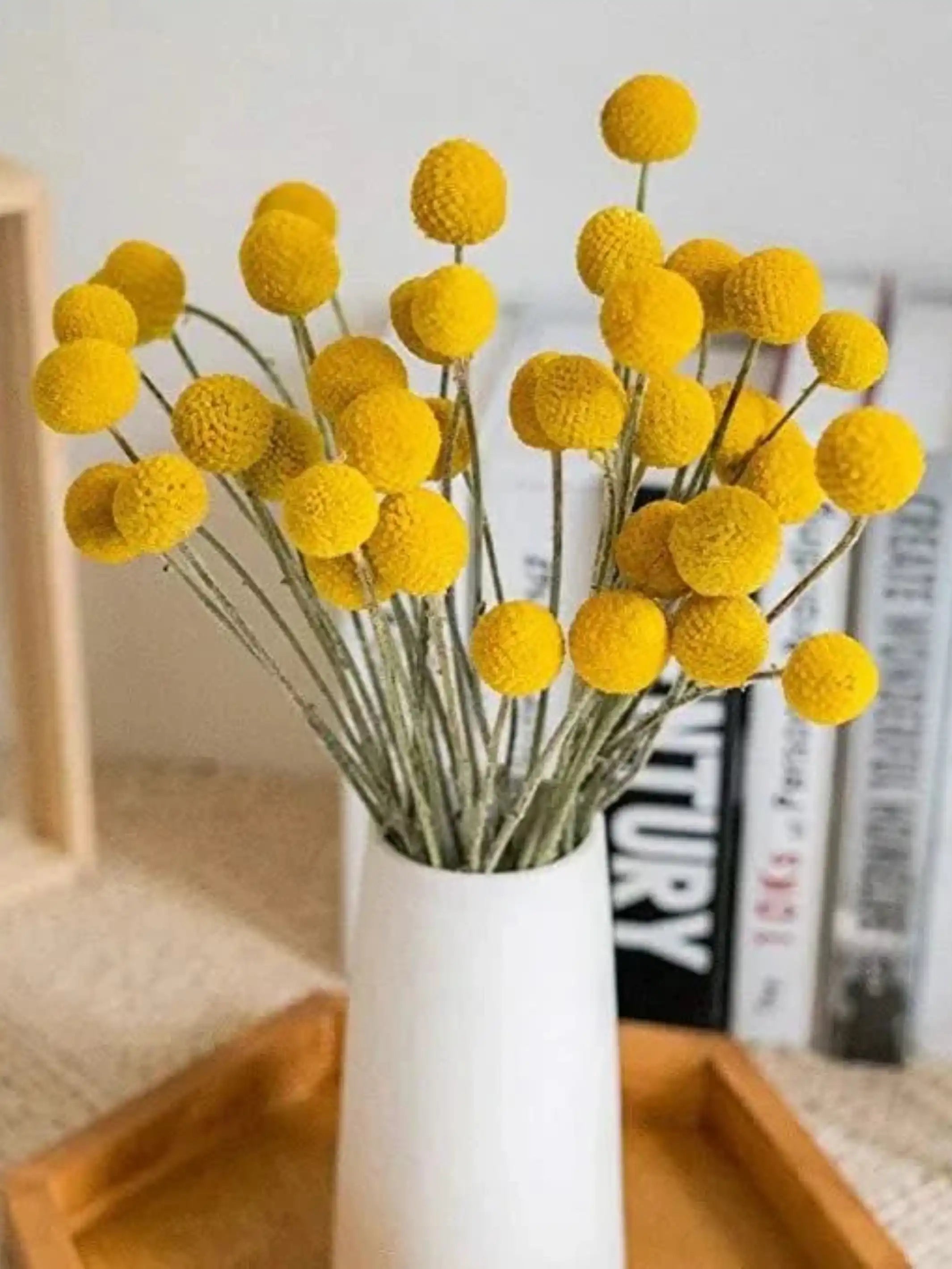 Billy ball yellow-set of 10 - Product Image 