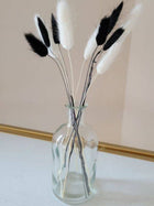Black Bunny tails