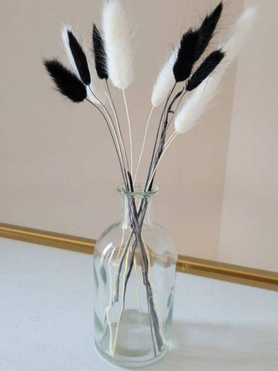 Black Bunny tails
