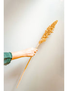 Corn bunch