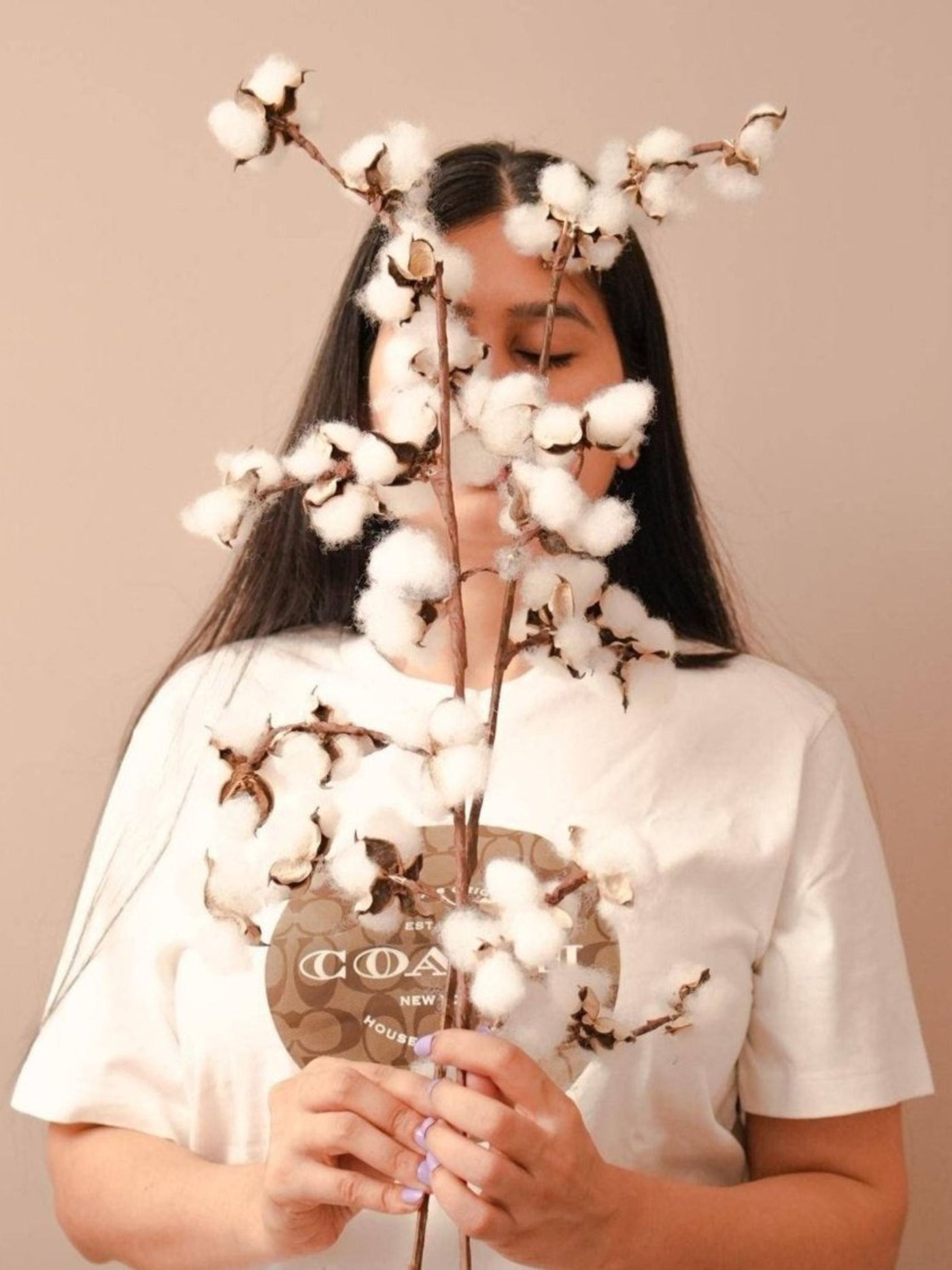 Cotton bloom stems