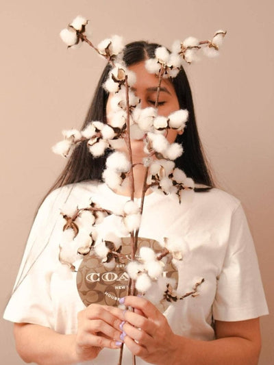 Cotton bloom stems