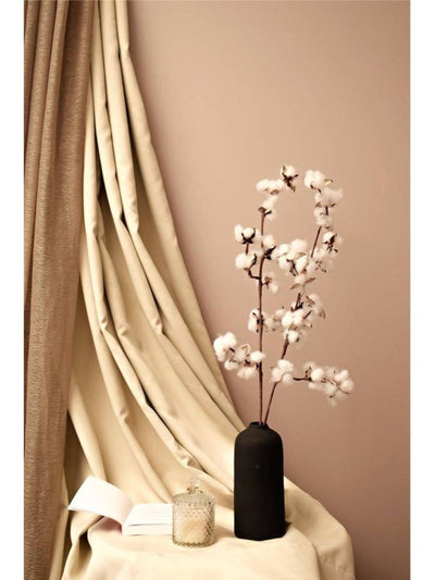 Cotton bloom stems