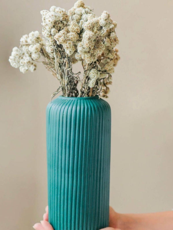 Daisies white-set of 30 stems