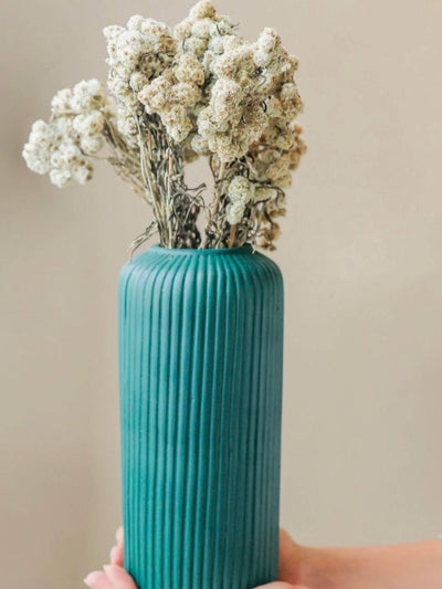 Daisies white-set of 30 stems