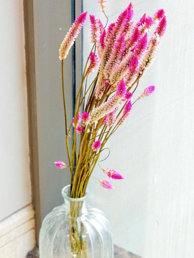 flamingo dried flower set of 25