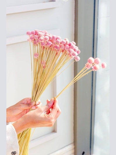 Gomphera set of 25 stems -Light pink