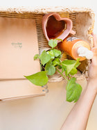 Jute and Iron server set