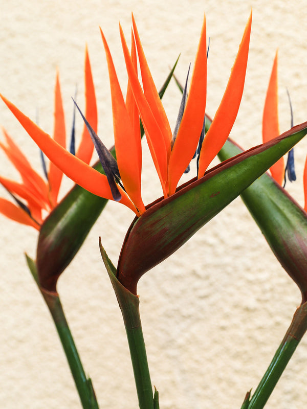 Artificial Flower Bird Of Paradise