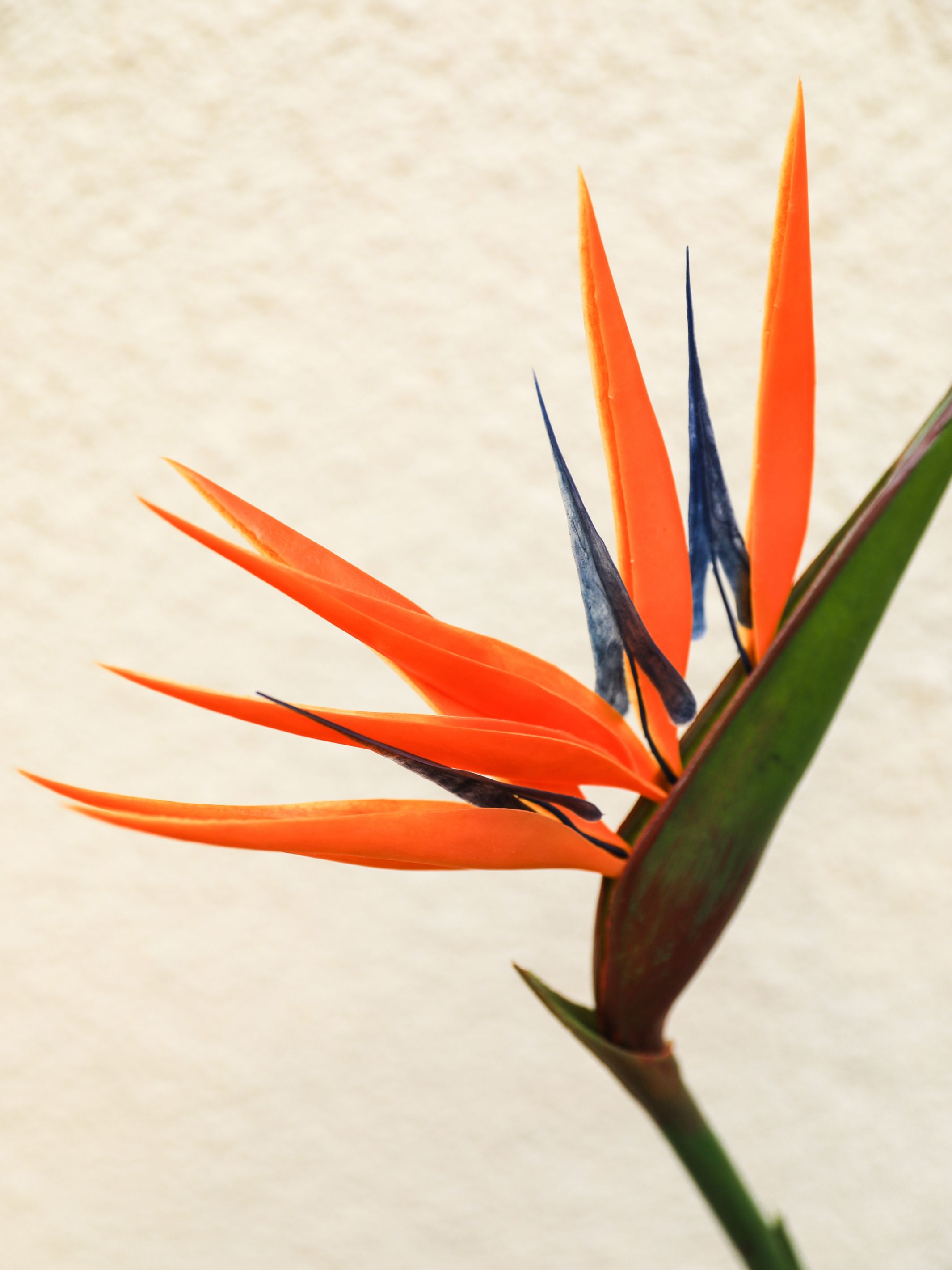 Artificial Flower Bird Of Paradise