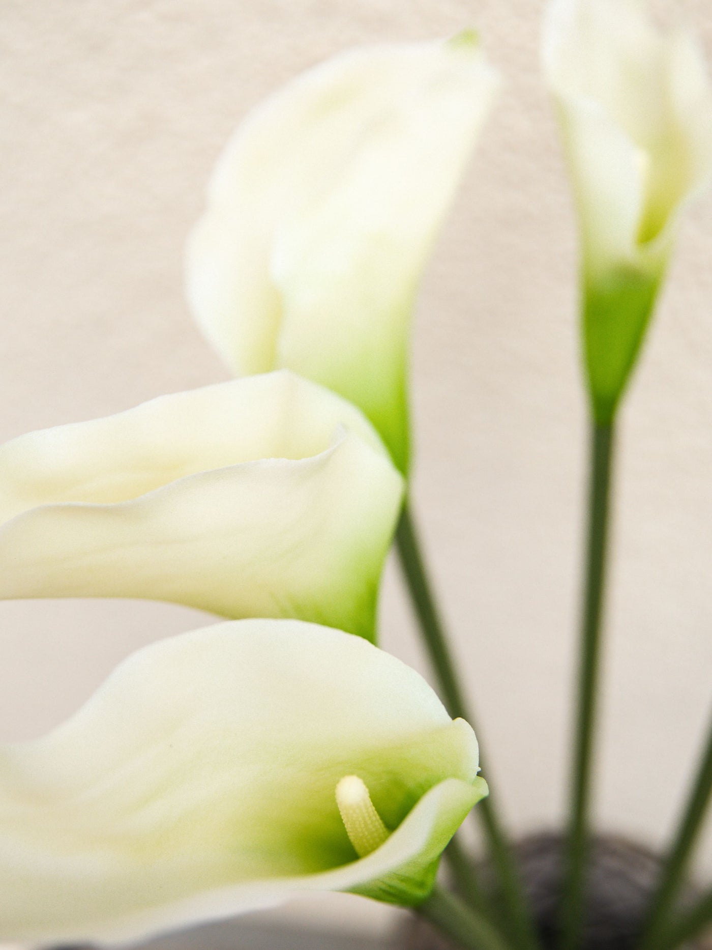 Artificial Flower Cala Lily White