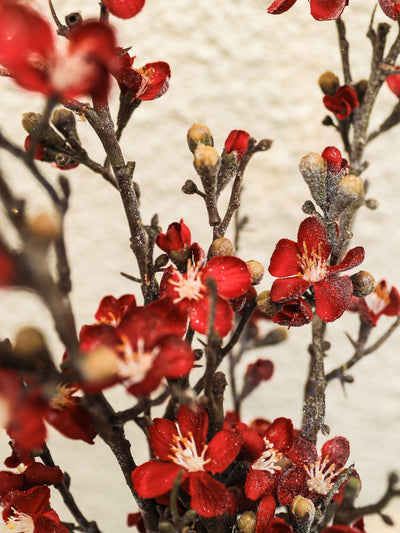 Artificial Flower Winter Cherry Blossom Red