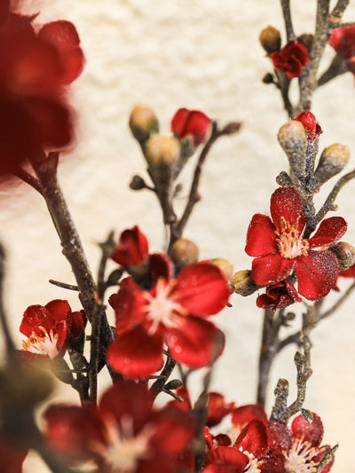 Artificial Flower Winter Cherry Blossom Red