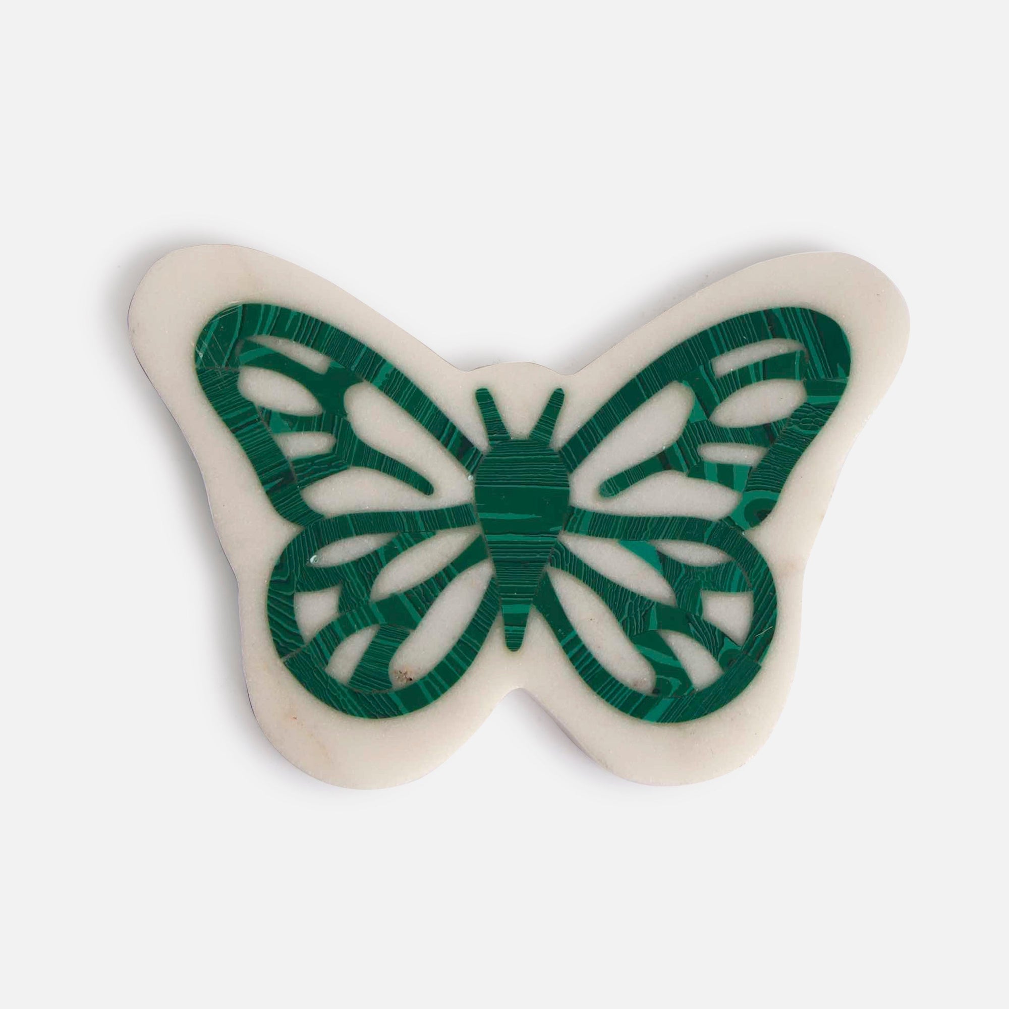 WOLLY BEAR - MARBLE COASTER