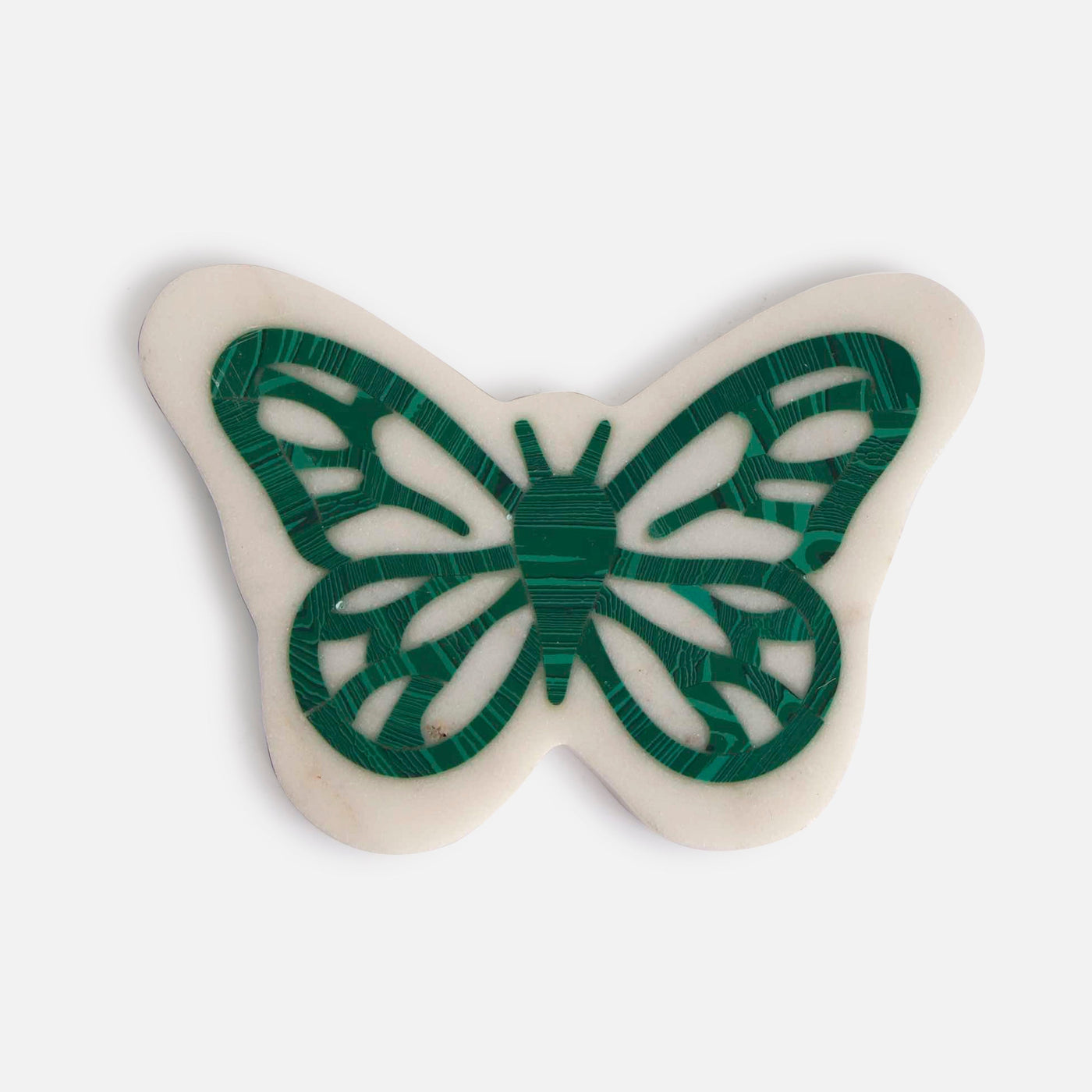 WOLLY BEAR - MARBLE COASTER