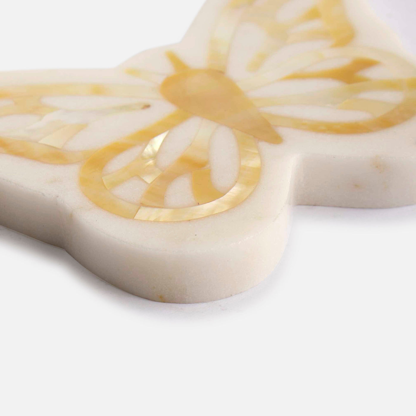 WOLLY BEAR - MARBLE COASTER