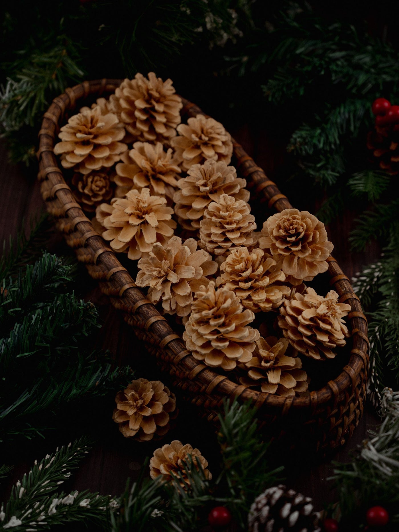 Beige Pine Cones Pack of 6