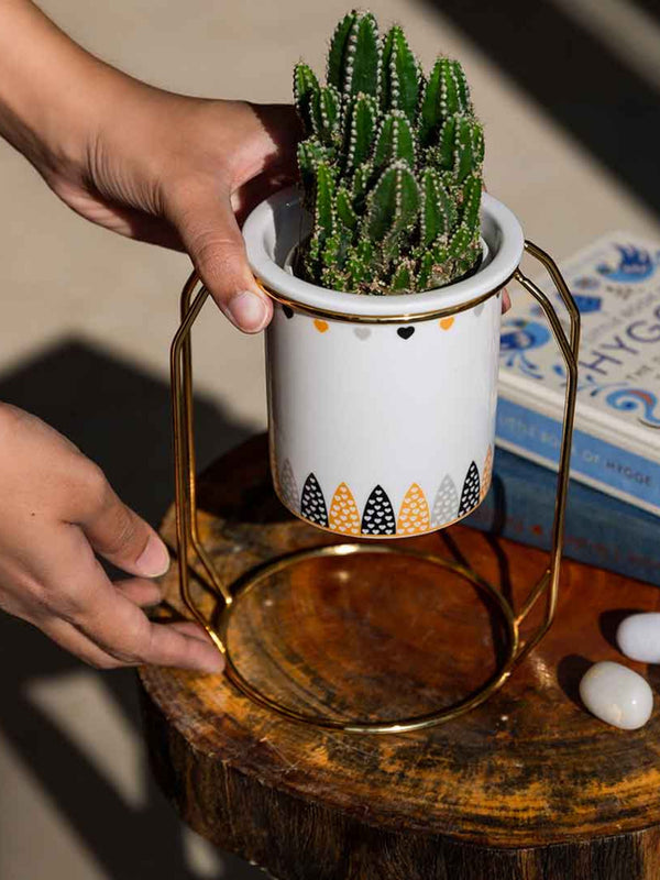Bella Heart Ring Planter Black