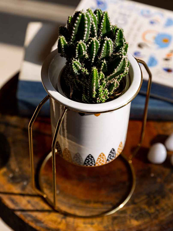 Bella Heart Ring Planter Black